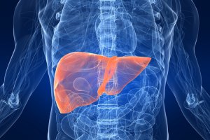 Лечение рака печени в Израиле