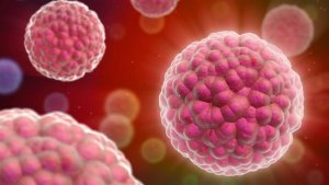 Молекулярная диагностика рака