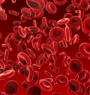 Гемофилия: лечение в Израиле