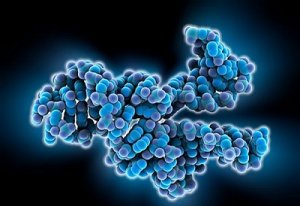  Обследование на уровне РНК (рыбонуклеиновой кислоты)