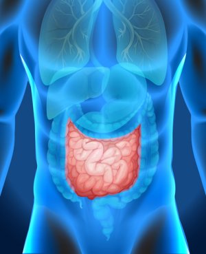 Рак тонкого кишечника