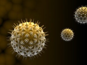 Гемобластозы