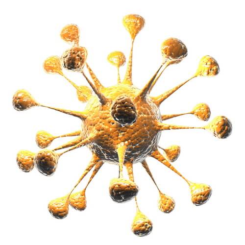 Лечение рака маточных труб в Израиле | Центр рака CTC