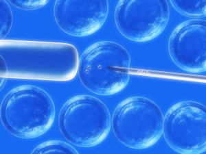 Клеточная терапия